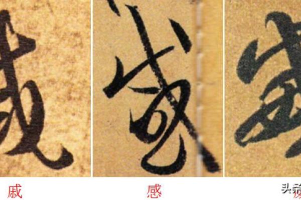 探寻“草”字之美：与“草”相关的成语与深意