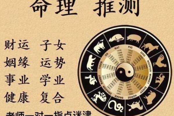 探索1935年出生的人命理特征与性格指南