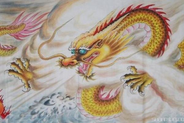 1988年出生孩子的命运与未来展望 1988年出生孩子的命运与未来展望