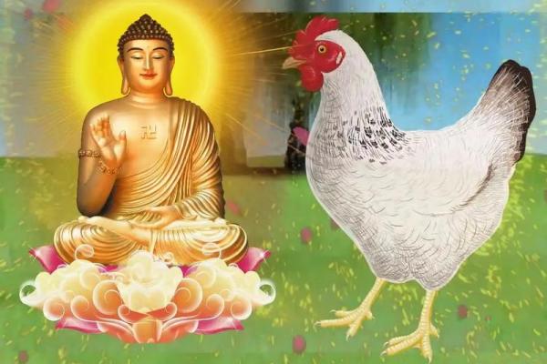 1981年属羊的人命运解析与人生智慧探讨