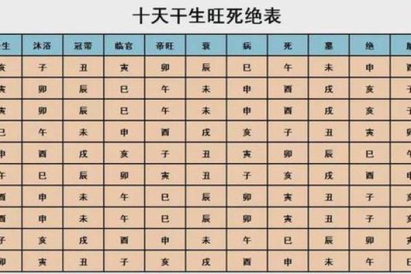 命理学中的“子”：揭示命运的暗示与力量
