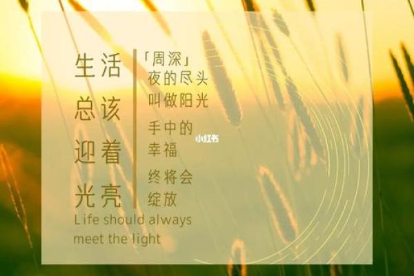 当命运的重担压在肩头，如何找到生活的光亮？