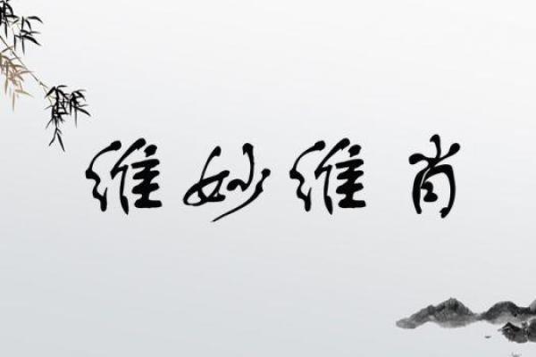 命运与丹心的成语世界：探寻成语中的价值与智慧