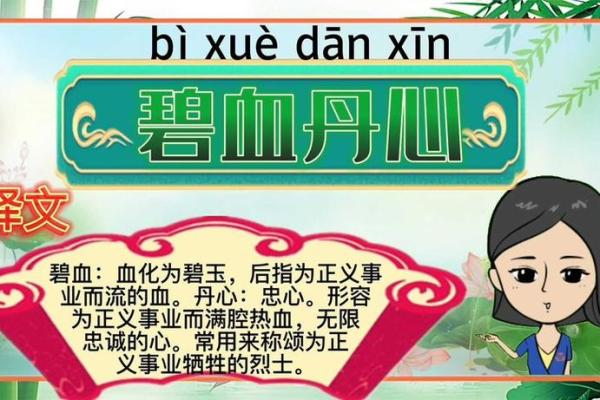 命运与丹心的成语世界：探寻成语中的价值与智慧