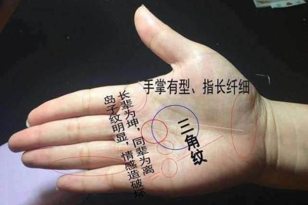 命理中的断掌说法：揭示你的人生轨迹与性格特征！
