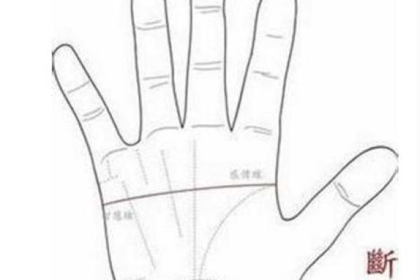 命理中的断掌说法：揭示你的人生轨迹与性格特征！