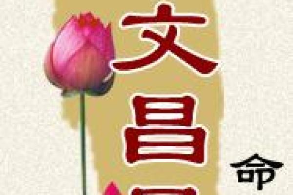 命理中的文昌星：智慧与学业的象征