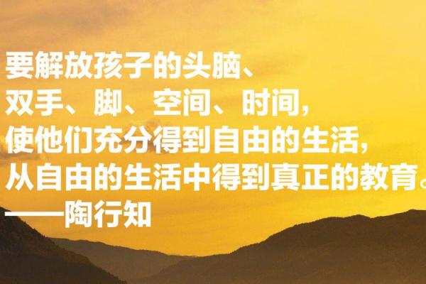 命运的指引：一生以什么为准的深思与探索