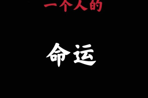 探寻1998年3月24日：这一命运之日的故事与启示