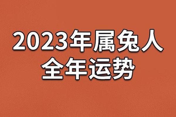 2023年：兔年运势解析与命理启示