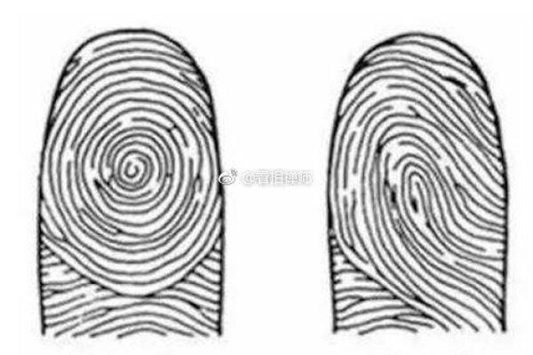 探秘彩凤之命：命格的深意与人生启示