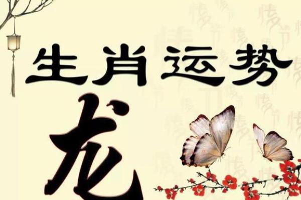 2000年龙年出生的人命理解析与生活智慧