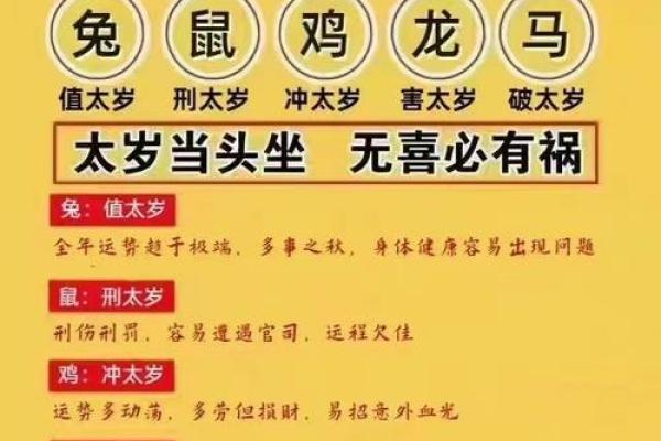 2023年鸡年出生的命理解析：你的未来将如何？