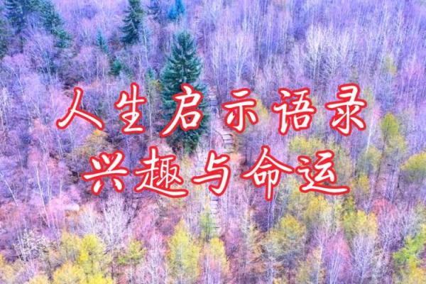 2014年属什么命？探索这一年带来的命运启示与人生哲学