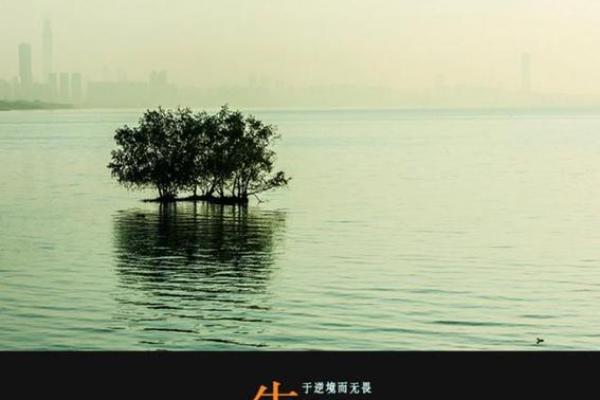 信命不命：寻找生活的真谛与希望