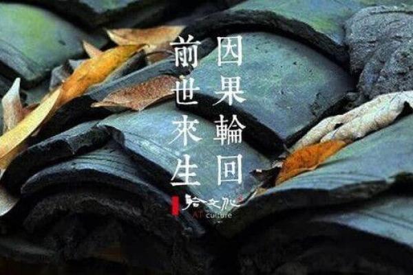 探讨天孤命前世因果：命运的神秘之旅