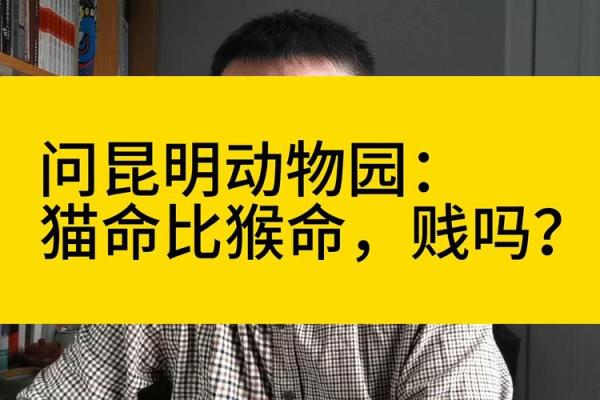 命贵还是命贱：探讨生活与价值的深层意义