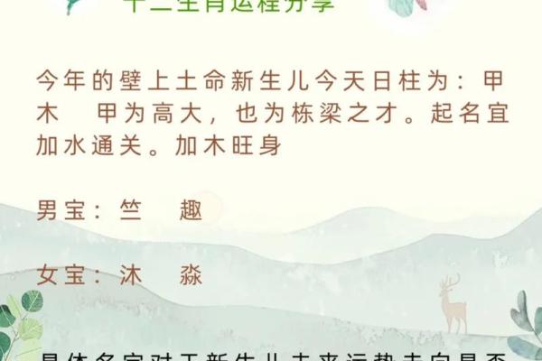 65岁生肖与命运解析：老年生活的智慧与启示