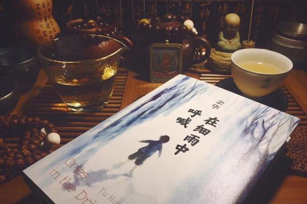 揭秘80年老鼠的命运：聪明灵动背后的深刻寓意