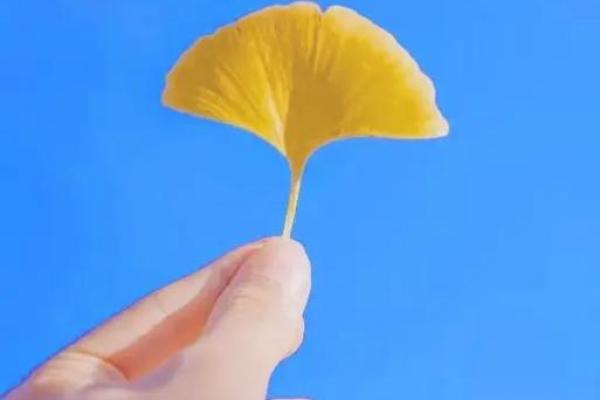 揭示命运的秘密:哪种首饰能真正改变你的命运? 揭示命运的秘密:哪种首饰能真正改变你的命运?