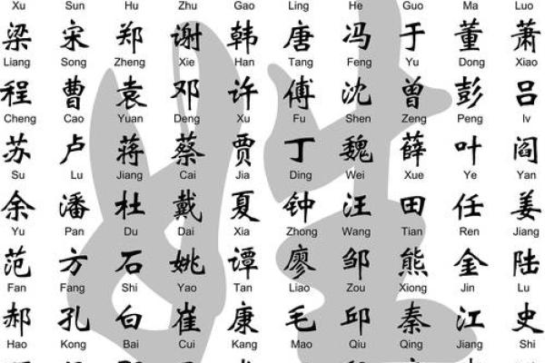女火命和男土命财富双赢的最佳组合