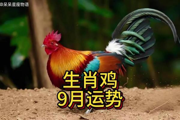 六九年属鸡，探索其命运与性格特征