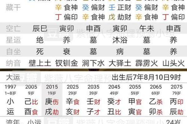 探寻命理：揭开“人元命格”的神秘面纱