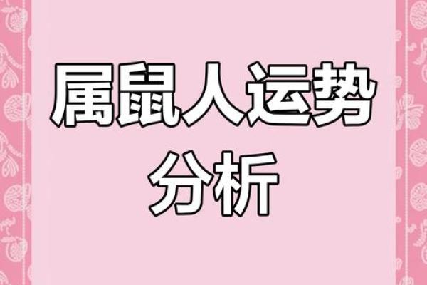 207年属相及命理解析：揭秘你的生肖命运与人生道路