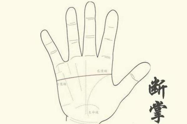 揭秘命理之长横纹的深刻寓意与人生影响 揭秘命理之长横纹的深刻寓意与人生影响