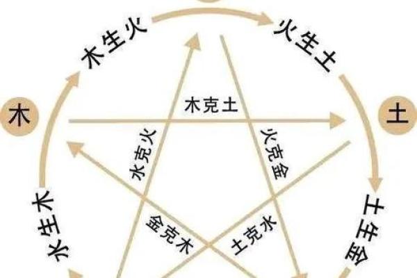 木命与其他五行命的最佳婚配解析，找到幸福的另一半！