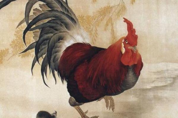 1981年属什么生肖?揭秘属鸡人的命运与性格! 1981年属什么生肖?揭秘属鸡人的命运与性格!