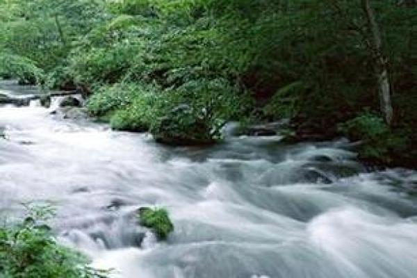 解读蛇年2013的水命,探秘其独特的命理魅力 解读蛇年2013的水命,探秘其独特的命理魅力