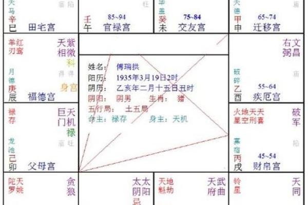 命理探秘：四大命格解析与个性之旅