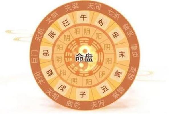 2020巳时命运解析：揭开命理背后的神秘面纱