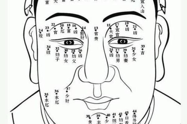 富贵命:从面相看你的财富与运势 富贵命:从面相看你的财富与运势