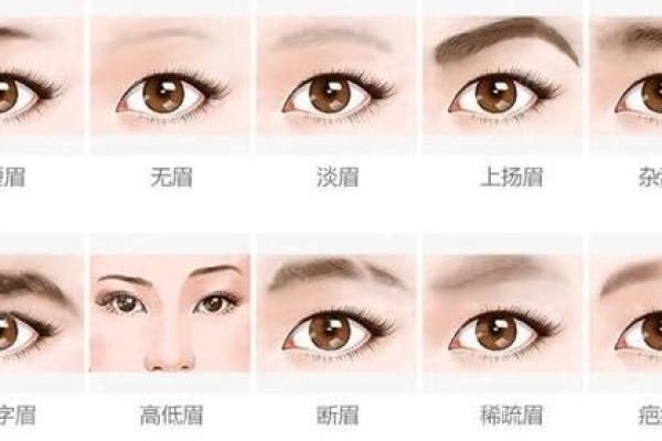 富贵命:从面相看你的财富与运势 富贵命:从面相看你的财富与运势