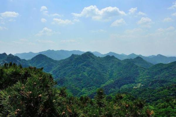风调雨顺:命格象征与人生启示 风调雨顺:命格象征与人生启示