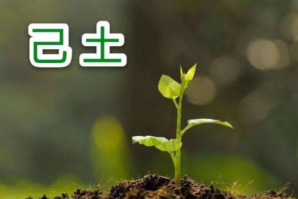 八字缺木土旺女命解析:如何提升自身运势与人生幸福感 八字缺木土旺女命解析:如何提升自身运势与人生幸福感