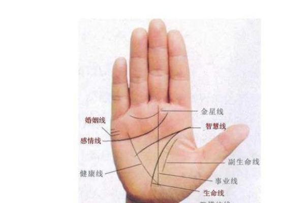 揭晓你的命运:解读手相中的孤煞星命! 揭晓你的命运:解读手相中的孤煞星命!