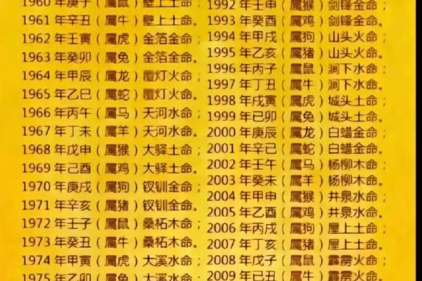2020年是什么土命？探寻土命人的独特魅力与人生轨迹