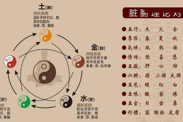 炉中火命与五行相克：解析与调和之道