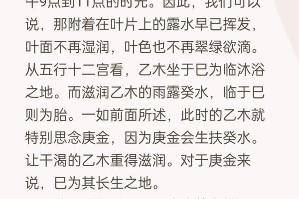 揭秘八字命理：乙巳之命的独特人生旅程与命运解析