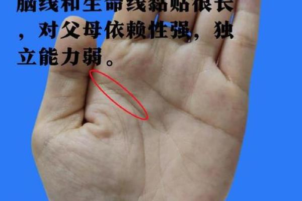 揭秘手相的奥秘:童子命男孩的情感与运势 揭秘手相的奥秘:童子命男孩的情感与运势