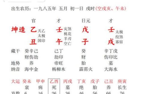 探寻乙亥与庚午：命理中的深厚联系与智慧