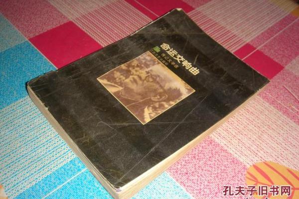 命运的交响曲：从成语看人生的无常与智慧