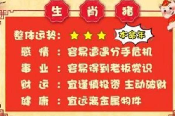 揭秘麦玲玲1985年的命运与性格特征 揭秘麦玲玲1985年的命运与性格特征