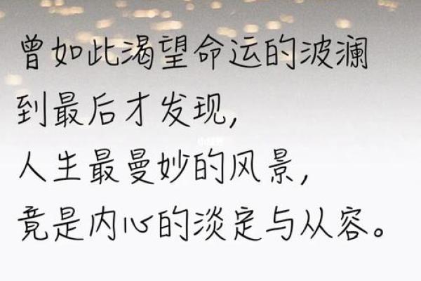 喜好与命运的交织：追寻属于自己的幸福之道