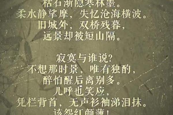 至阴至阳：探秘命格中的阴阳之道与其人生影响