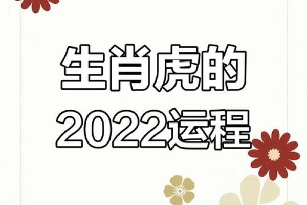 2022年生肖揭秘：属虎者的命运与发展趋势分析