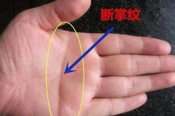 1997年出生的人命运解析：运势与性格的深度探讨